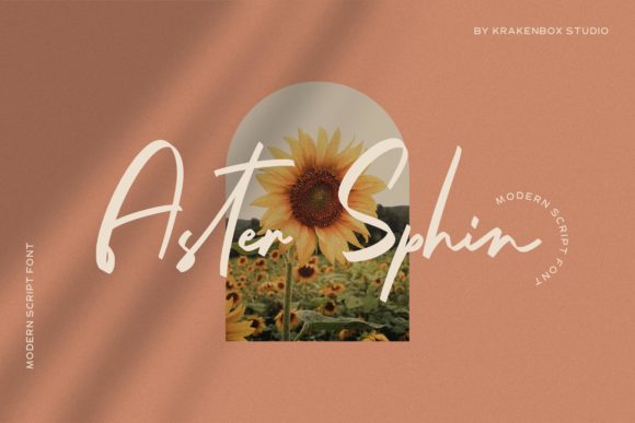 Aster Sphin Font: A Web Designer's Real Project Test
