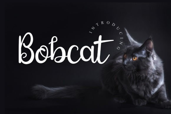 Bobcat Font Review: A Handwritten Typeface for Branding Projects