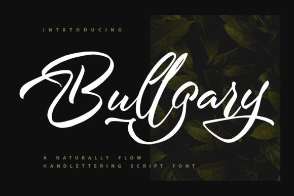 Bullgary: A Designer’s Honest Take on a Script Amp Release