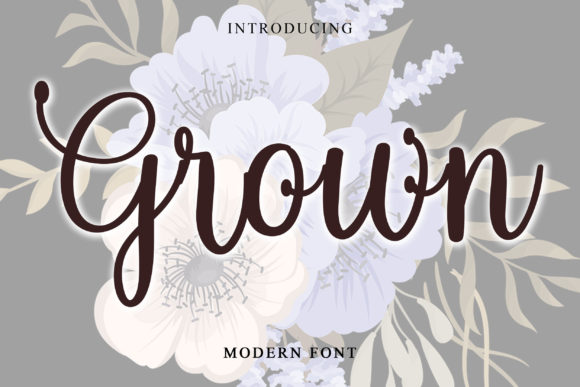 Grown Typeface Review: Editorial Charm Meets Readable Script