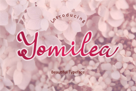 How Yomilea Script Font Gave My Small Business a Professional Edge