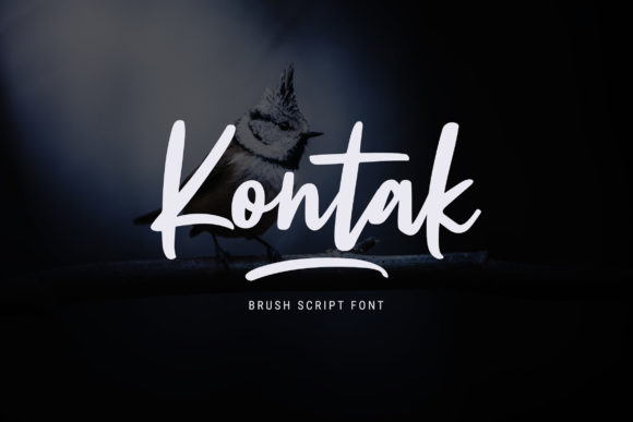 Kontak Script Font: A Designer’s Honest Take for Branding Projects