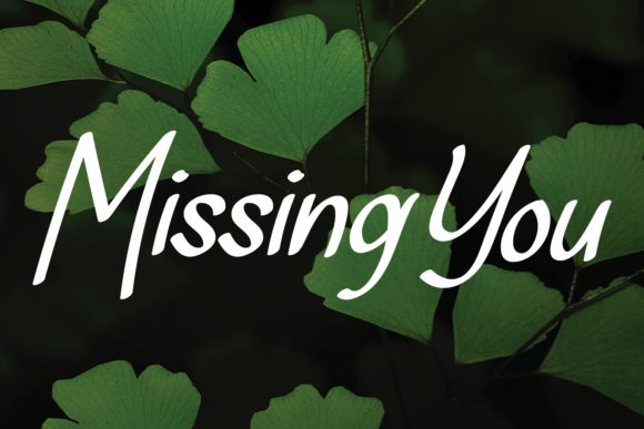 Missing You: A Delicate Script Font for Modern Websites