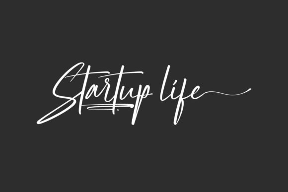Startup Life Font: An Honest Designer Review for Branding Work